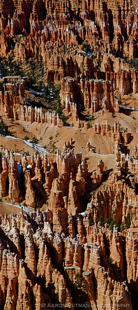 Bryce Canyon Hoodoos