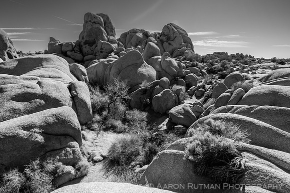 Skull Rock Nature Area, Joshua Tree National Park