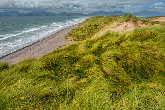 Rossbeigh Strand, County Kerry
