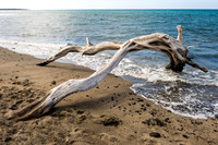 Kiholo Bay