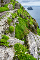 Little Skellig from Skellig Michael