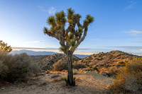 Eureka Peak, Joshua Tree National Park