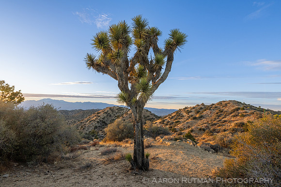 Eureka Peak, Joshua Tree National Park