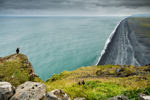 Dyrhólaey, South Iceland