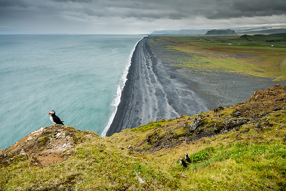 Dyrhólaey, South Iceland