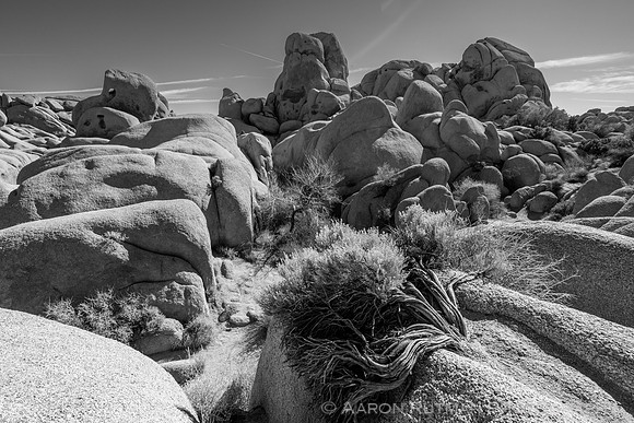 Skull Rock Nature Area, Joshua Tree National Park