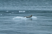 Prince William Sound, AK
