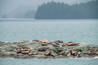 Prince William Sound, AK