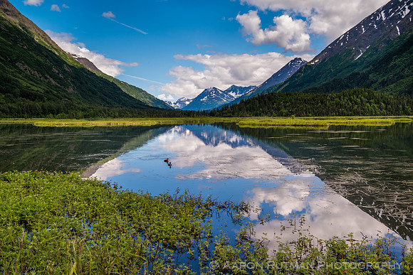 Tern Lake, AK