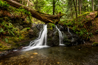 Rustic Falls, Moran State Park