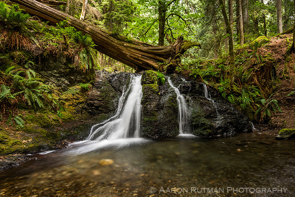 Rustic Falls, Moran State Park