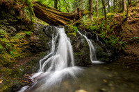 Rustic Falls, Moran State Park
