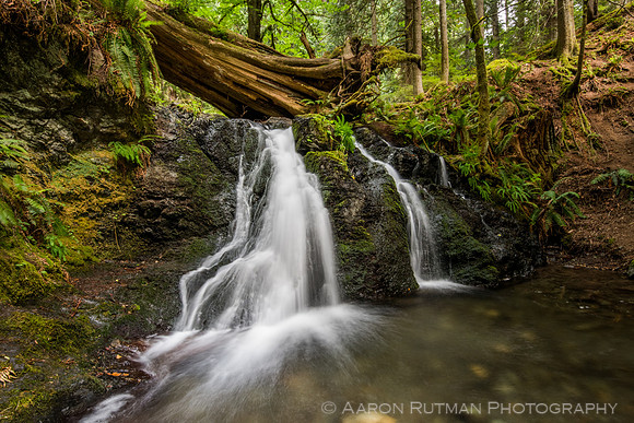 Rustic Falls, Moran State Park