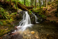 Rustic Falls, Moran State Park