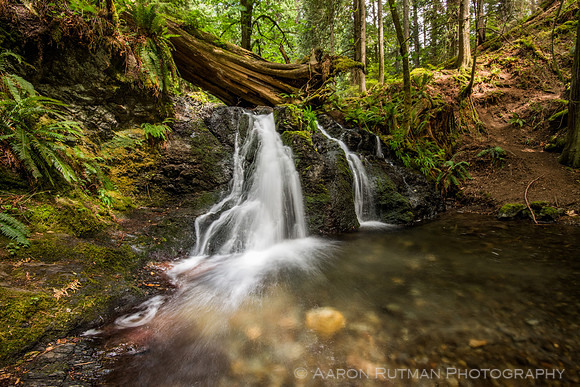 Rustic Falls, Moran State Park