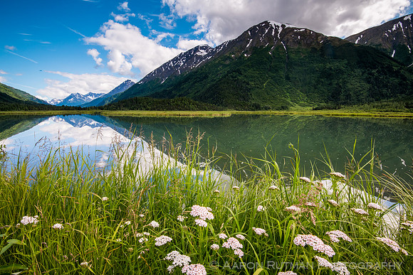 Tern Lake, AK