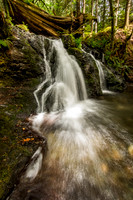 Rustic Falls, Moran State Park