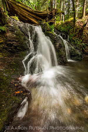 Rustic Falls, Moran State Park