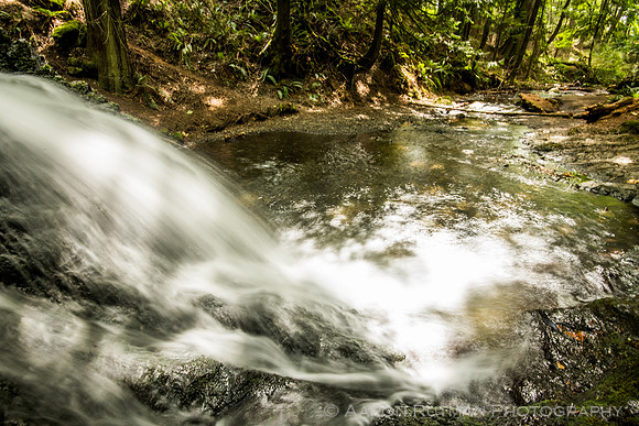 Rustic Falls, Moran State Park