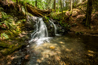 Rustic Falls, Moran State Park