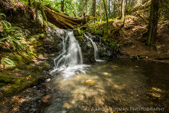 Rustic Falls, Moran State Park