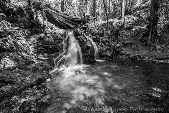Rustic Falls, Moran State Park