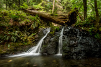 Rustic Falls, Moran State Park