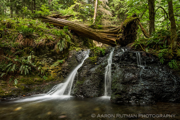 Rustic Falls, Moran State Park