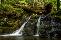Rustic Falls, Moran State Park