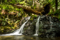 Rustic Falls, Moran State Park