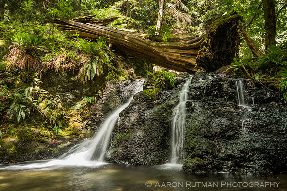 Rustic Falls, Moran State Park
