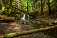 Rustic Falls, Moran State Park