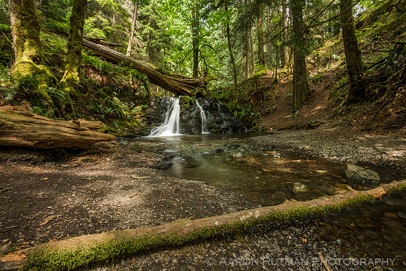 Rustic Falls, Moran State Park
