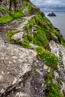 Little Skellig from Skellig Michael