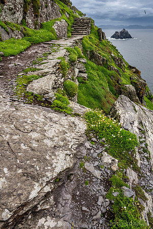 Little Skellig from Skellig Michael