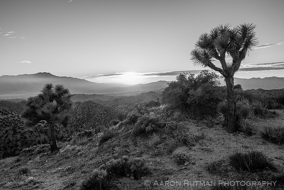 Eureka Peak, Joshua Tree National Park