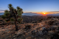 Eureka Peak, Joshua Tree National Park