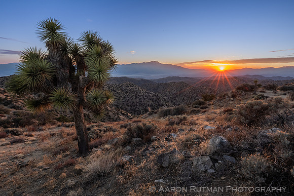 Eureka Peak, Joshua Tree National Park