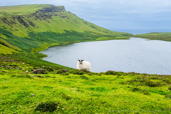 Loch Mor, Isle of Skye, Scotland
