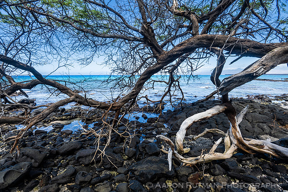 Kiholo Bay