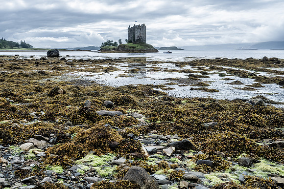 Castle Stalker on Loch Laich, County Argyll, Scotland