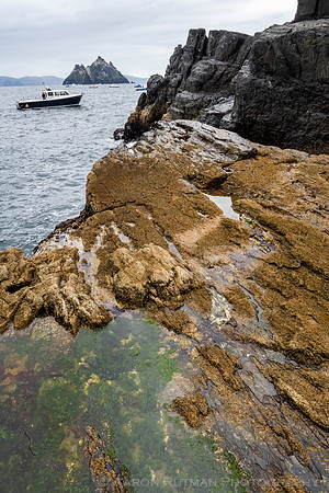 Little Skellig from Skellig Michael