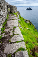 Little Skellig from Skellig Michael