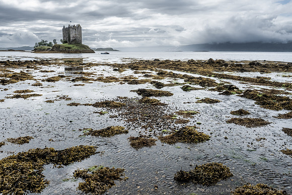 Castle Stalker on Loch Laich, County Argyll, Scotland