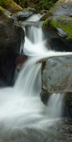 Multnomah stream