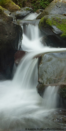 Multnomah stream