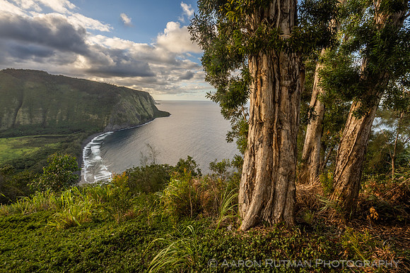 Waipio Lookout