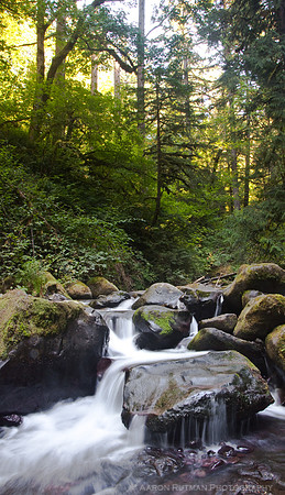 Multnomah Falls upstream
