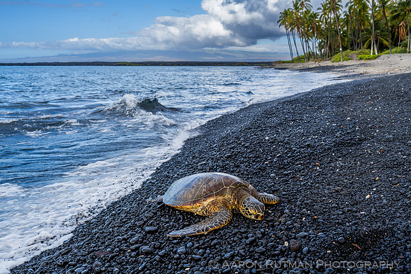 Kiholo Bay