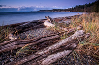 Lincoln Park, West Seattle, WA